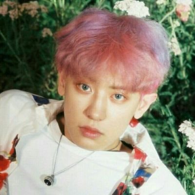 estoy staneando siete grupos a la vez y estoy en crisis no me sigas ⠀ ⠀⠀⠀⠀⠀ ㅤㅤ ㅤ⠀ㅤㅤ⠀⠀⠀⠀⠀⠀ ㅤㅤ ㅤ⠀ㅤ@kunbestboy ♡ @jaemrkz