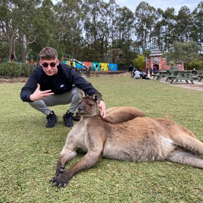 stephenbergin11's profile picture. 