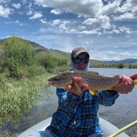#VailPaulie (@vailpaulie) 's Twitter Profile Photo #VailPaulie (@vailpaulie) 's Twitter Profile Photo