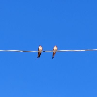 mordormx's profile picture. 