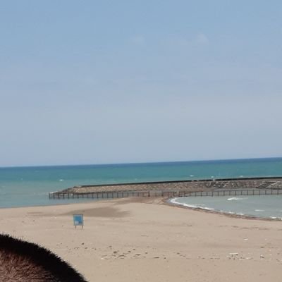 pikari99hide's profile picture. ゴルフ好き🏌️競馬も好き🏇