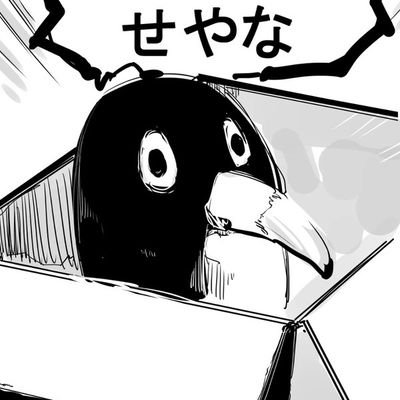 毎日おせちさんのプロフィール画像
