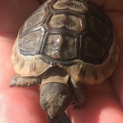 VetNurse6's profile picture. I come here to complain