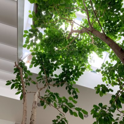 ksakmh18182621's profile picture. 私の好きを詰め込んだノート（Bujo 📖 手帳術 ✍ 書く）| 紙・包装紙・紙袋・文房具 | スタンプ集め | 自然🌿 | グルメ ☕🍽 | 旅✈ | 魚飼育🐟 | 好きなこと思いきりやる💪