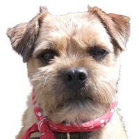 Sir Rohan the BT 🎾(@RohanTheBT) 's Twitter Profile Photo