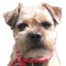 Sir Rohan the BT 🎾 (@rohanthebt) Twitter profile photo Sir Rohan the BT 🎾 (@rohanthebt) Twitter profile photo
