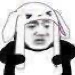 Jeongyuenlee224's profile picture. Nothing but special