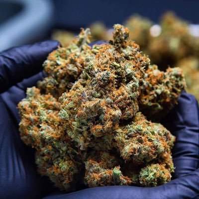 Top shelf exotic weed 🔥medicated products⛽️#247 delivery #Makquinozaro22@gmail.com Snapchat:makquinoz 💨💨🔌legit💯 contact +1(323)347-1076