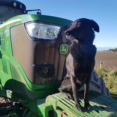 FixesFarm's profile picture. smart mouthed know it all -

fixer of all the shit that gets broken because the boss is intent on hiring idiot's