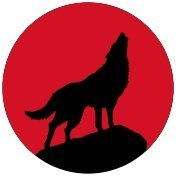 MoonWolf_in's profile picture. 🌙🐺 Elevating brands with bold creativity.
Branding | Digital Marketing | TV & Video | Events | 3D Modeling
Let’s tell your story. ⚡