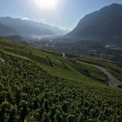 ElasriNaima's profile picture. 