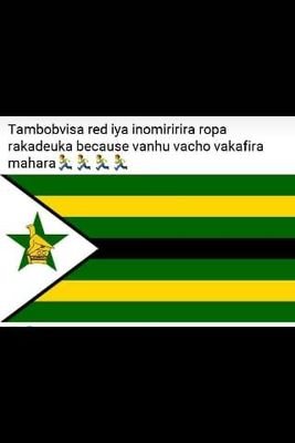 ElseaPauline's profile picture. Doing business in Harare Lusaka and Joburg,a human right lawyer