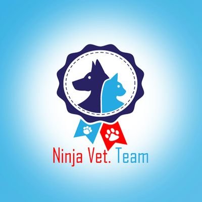 NinjaTeam10's profile picture. مجموعة شباب هدفهم هو البحث العلمي و زيادة معلوماتهم في مجال الطب البيطري ⁦♥️⁩ 🐮