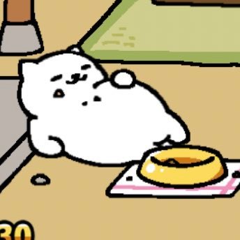 piyopiyomush's profile picture. 25↑ 夢 なんでもござれ