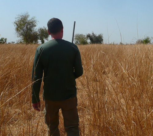 Petit chasseur français parti chasser le petit gibier au Sénégal à Tambacounda. Chasse aux francolins, à  la tourterelle, au ganga et aux pigeons