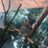 dolphin__0308