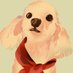국앵🕯✨️ (@fanibarney) Twitter profile photo 국앵🕯✨️ (@fanibarney) Twitter profile photo