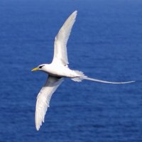 Daniel (@payanke) 's Twitter Profile
