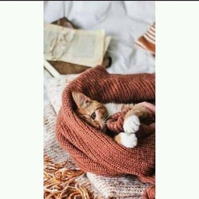 adibah_salihah's profile picture. 