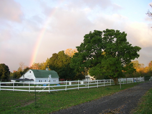mapleviewfarm's profile picture. Farm, Brewery, Airbnb. We are family farm on 50 acres in northern CT. We raise Happy animals and clean plants for our own and our neighbors' consumption.