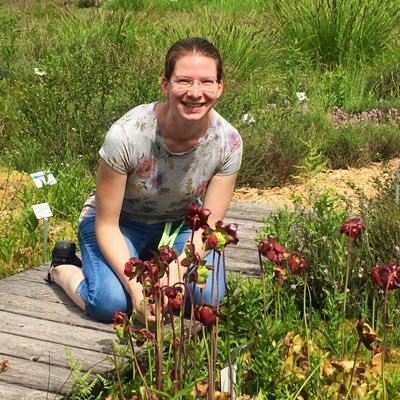 Biologist and Doctor in Biology. Interested in mycorrhiza 🍄, stable isotopes, carnivorous plants 🌱, animals 🐱🦊🐨 and scicomm 🔬