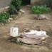 IAH Groundwater Quality (@iahgqc) Twitter profile photo IAH Groundwater Quality (@iahgqc) Twitter profile photo