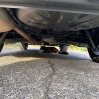 ちょ (@be0t4o1m0o) Twitter profile photo