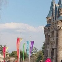 なっつ@取引 (@__trhk_8_m) 's Twitter Profile