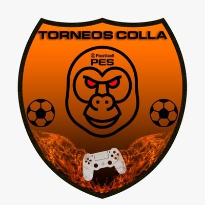 🎮Organización de torneos online de #efootballPES2021 para PS4.
🏆Torneos con fines benéficos.
💰Premio para los 3 primeros.
✌Fair play.