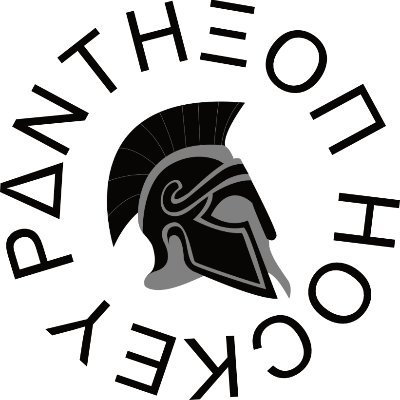 The affordable Hockey brand 💥 Dedicated to your game! #teampantheon #pantheonhockey #fieldhockey #hockeybrand