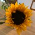 hels bels (@helsbel12536888) Twitter profile photo hels bels (@helsbel12536888) Twitter profile photo