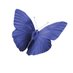Approach People (@approachpeople) Twitter profile photo Approach People (@approachpeople) Twitter profile photo