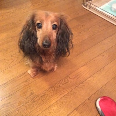 小学生の頃の衝撃の出逢い♪サザンオールスターズと出逢ったから今の自分があるのね…と思う今日この頃。☆LOVE♡MUSIC😋 2011年、吉田山田と出逢ってTwitterやら始めました😅