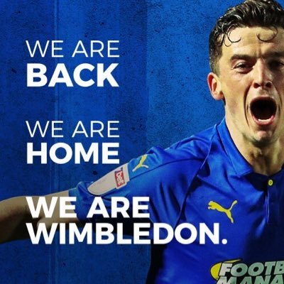 AFC Wimbledon Fan, #COYD (The Real Dons)