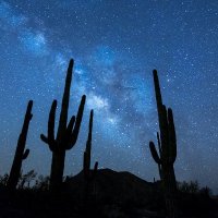 Tucson Aware (@tucsonaware) 's Twitter Profile Photo Tucson Aware (@tucsonaware) 's Twitter Profile Photo