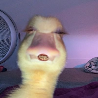 Profile Picture of Mike (@theMikeWorsham) on Twitter