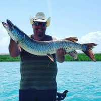 Edwin Knox (@sedwinknox) 's Twitter Profile Photo