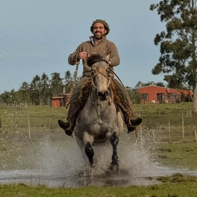 Técnico Agropecuario; Postgrado en Administración de Agronegócios; Agronegocios en Banco Santander. 🌾🐮