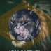 Leão Patriota (@patriota_leao) Twitter profile photo Leão Patriota (@patriota_leao) Twitter profile photo