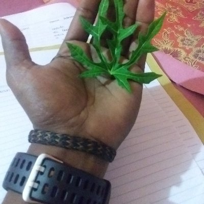 Disiplin