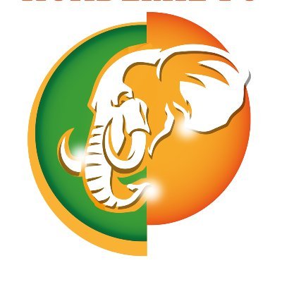 IvoireAcademie's profile picture. L'Association Ivoire Académie est une académie de football basée en Côte d'Ivoire qui propose un double projet sport et études.