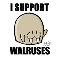 Vaughan Mitchell (@bisonguy51) 's Twitter Profile Photo