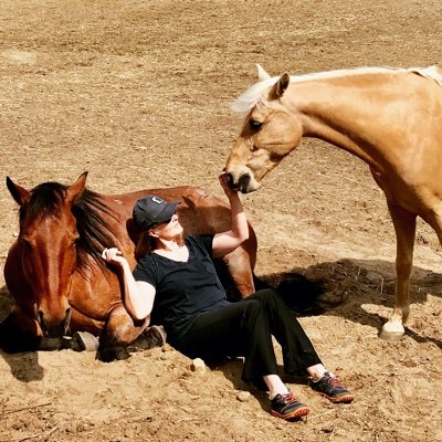 Aspie101's profile picture. Writer, Professor, Consultant, & Equestrian who strives to help individuals with neurobiological differences enjoy civil liberties, respect & well lived lives.