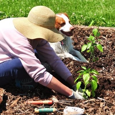 Hello peoples! https://t.co/ql05RG2orG is blog where you can find all you need to know related to gardening.