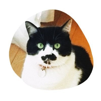 334143km's profile picture. 生まれも育ちもテレビっ子📺 有吉の壁⭕ CFL🐈🎣 BTS💜 商業施設🏬 ｱﾋﾟﾀﾝﾋﾟｱﾀﾝ🐿ﾞ何事も広く浅く