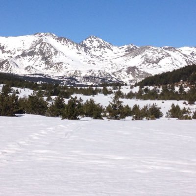 Protégeons nos montagnes du réchauffement climatique et de la pollution ; préservons leur biodiversité et leurs ressources naturelles 🌱⛰🐻🌳🏔🐝🦋🐺🦅🌲🌺💦🐾