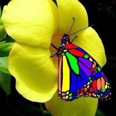 Arliem94212097's profile picture. 