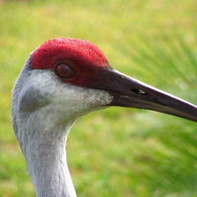 Keep Deland Beautiful, Inc. is a registered Florida Public Benefit Corporation who's purpose is for the greater good of DeLand, Florida's residents & Businesses