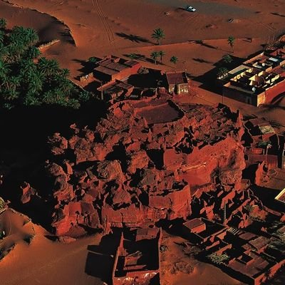 selkh21's profile picture. 