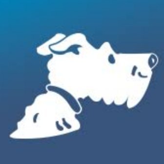 airfarewatchdog Profile Picture